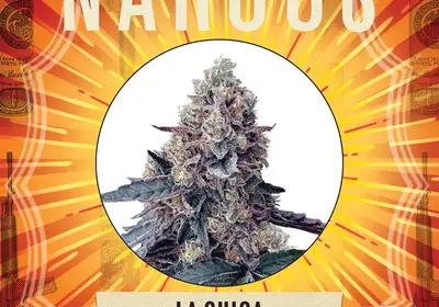 La Chica