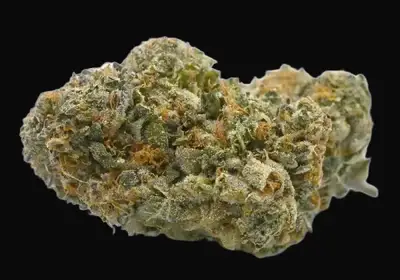 LA Confidential