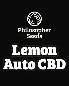 Lemon Auto CBD