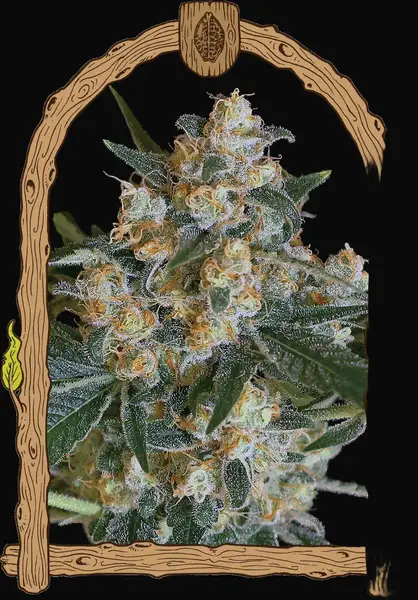 Lemon Candy