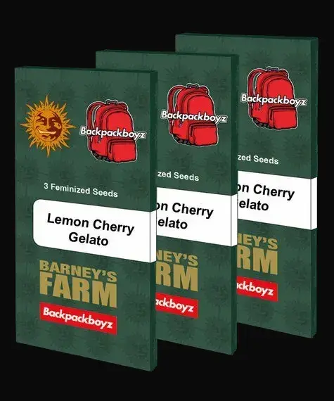 Lemon Cherry Gelato — zdjęcie 4