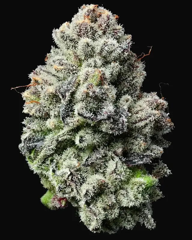 Lemon Cherry Gelato — zdjęcie 3