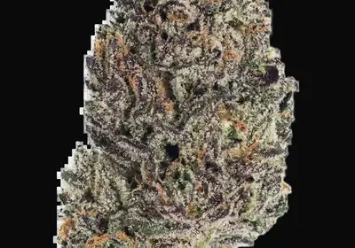 Lemon Cherry Runtz