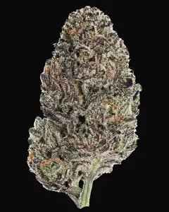 Lemon Cherry Runtz