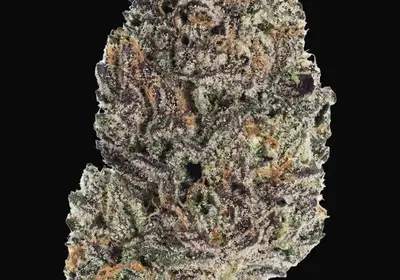 Lemon Cherry Runtz