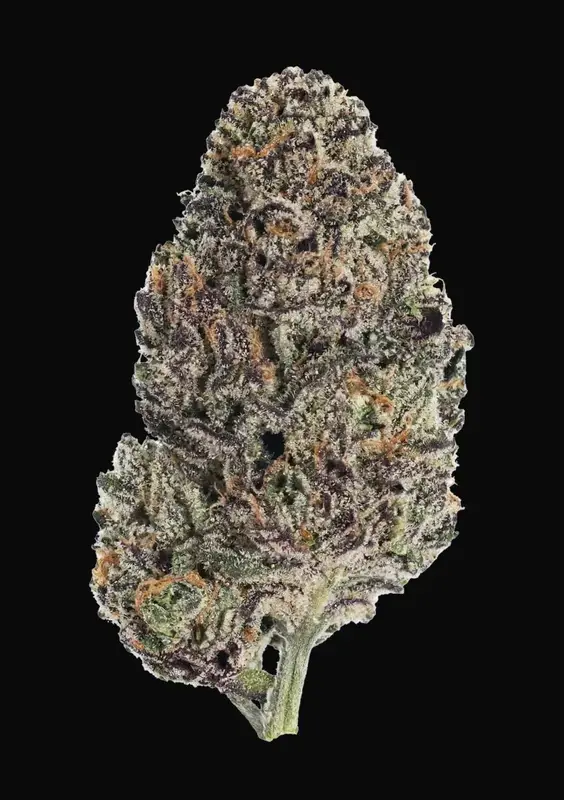 Lemon Cherry Runtz