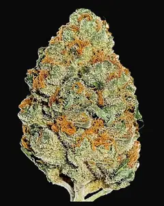 Lemon Mandarin