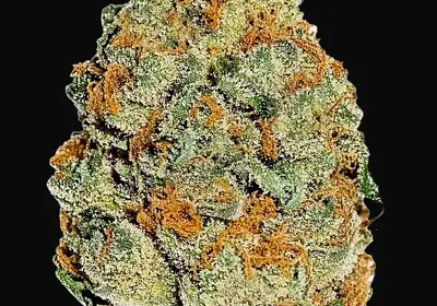 Lemon Mandarin