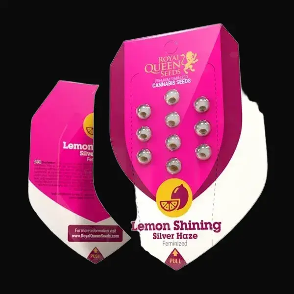 Lemon Shining Silver Haze — zdjęcie 2