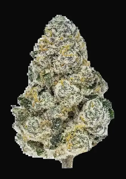 Lemonpaya