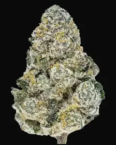 Lemonpaya