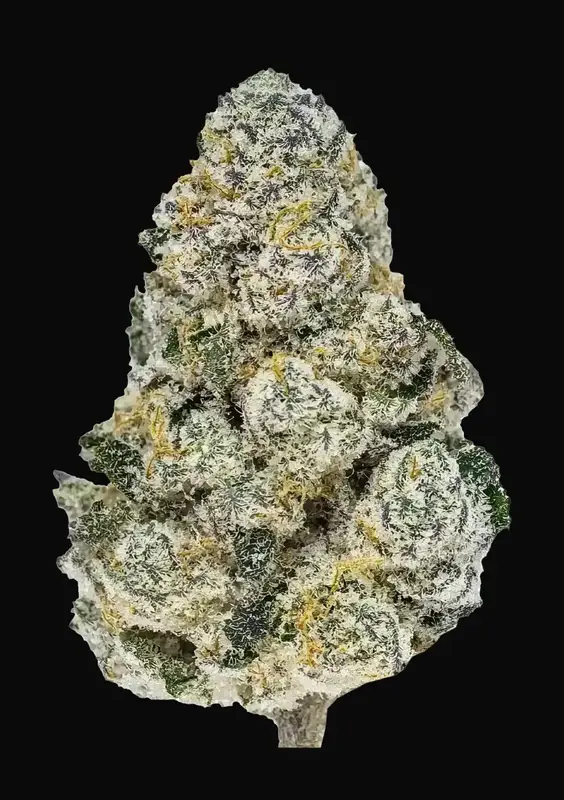 Lemonpaya