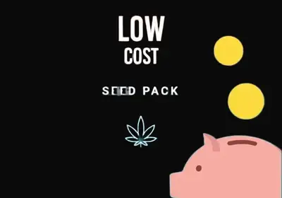 Low Cost Pack