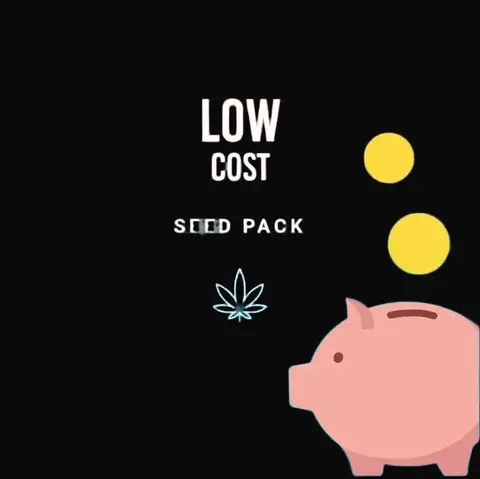 Low Cost Pack