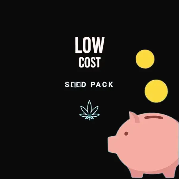 Low Cost Pack