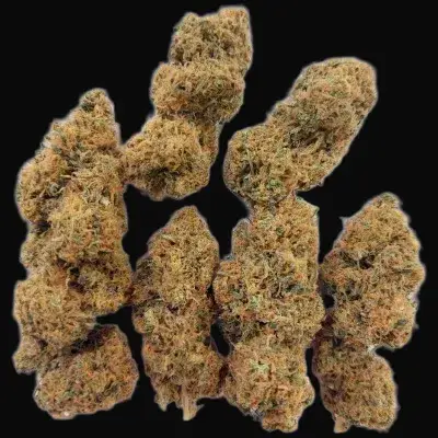 Magic Carrot Regular