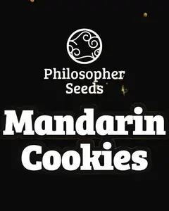 Mandarin Cookies
