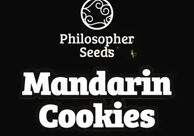 Mandarin Cookies