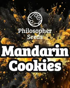 Mandarin Cookies