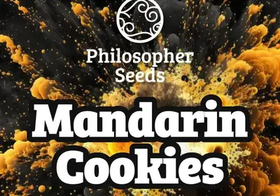 Mandarin Cookies