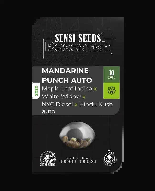 Mandarin Punch Automatic — zdjęcie 2