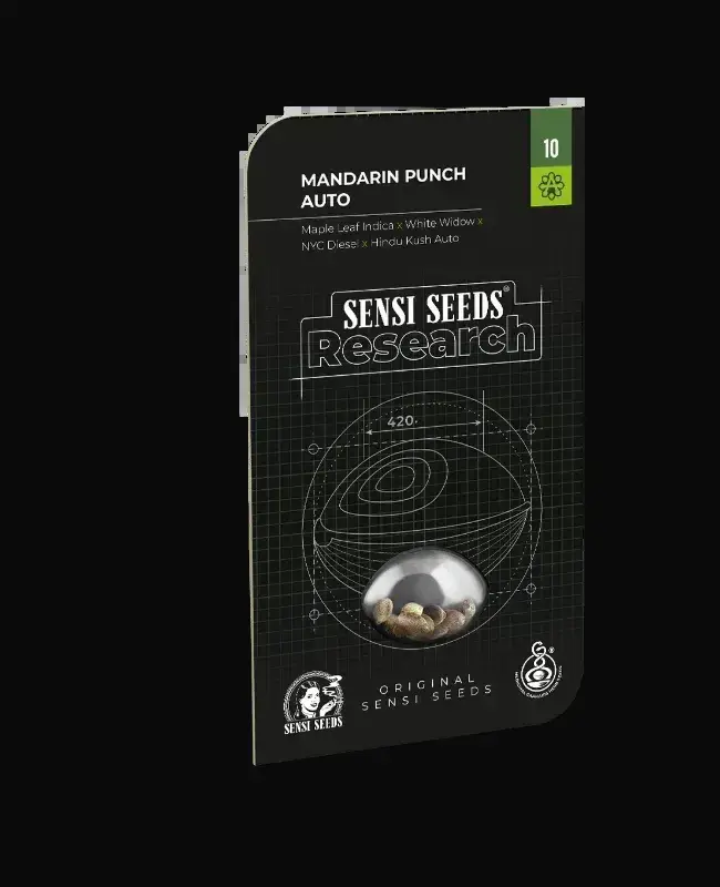 Mandarin Punch Automatic — zdjęcie 4