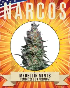 Medellín Mints