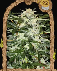 Monster Mash Auto