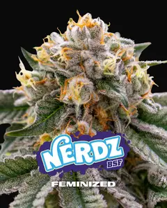 Nerdz