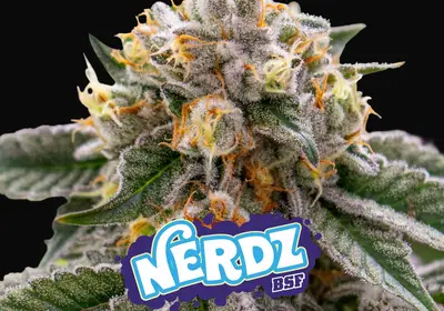 Nerdz