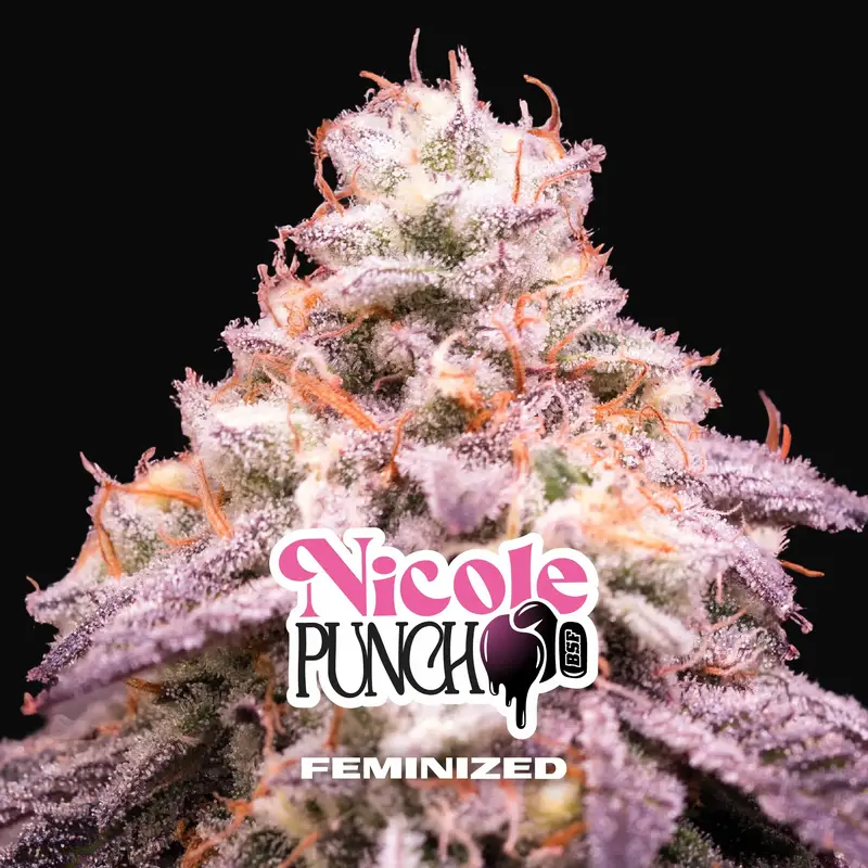 Nicole Punch