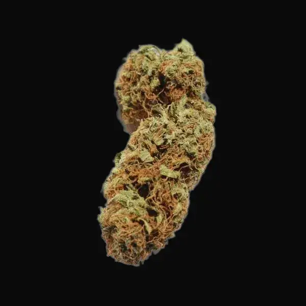 Northern Light Auto — zdjęcie 2