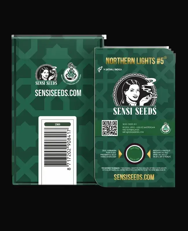 Northern Lights #5 X Haze — zdjęcie 6