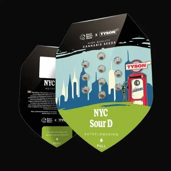 NYC Sour D Auto — zdjęcie 2