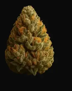 OG Kush