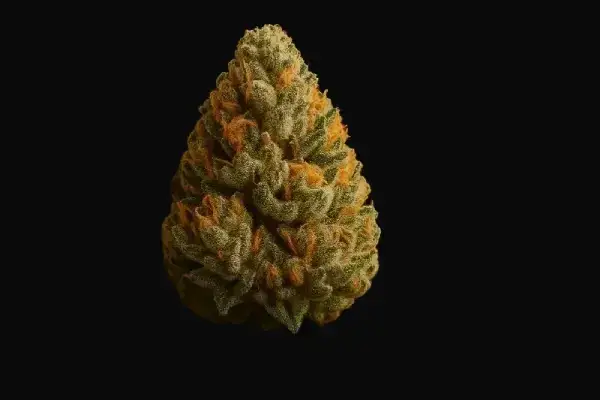 OG Kush