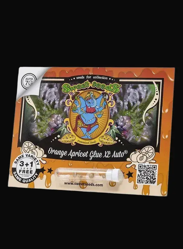 Orange Apricot Glue XL Auto — zdjęcie 2