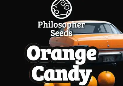 Orange Candy