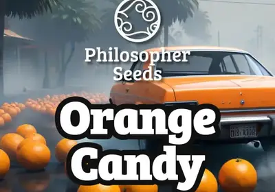 Orange Candy