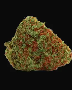 Original Orange Bud