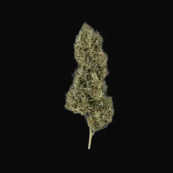 Painkiller XL — zdjęcie 3