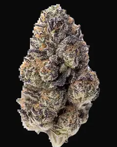Papaya Sherbet