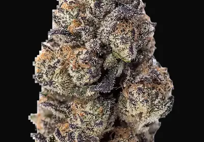 Papaya Sherbet