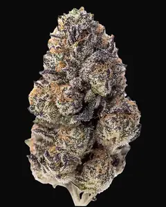 Papaya Sherbet