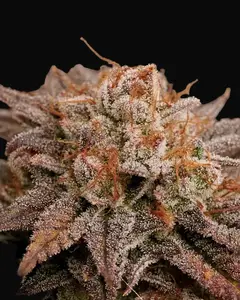 Peaches & Cream