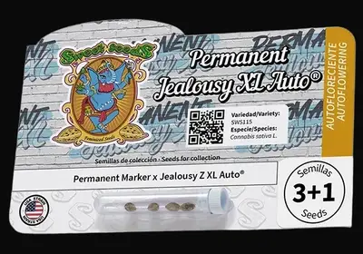Permanent Jealousy XL Auto