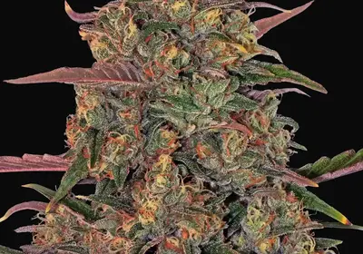 Pineapple Chunk