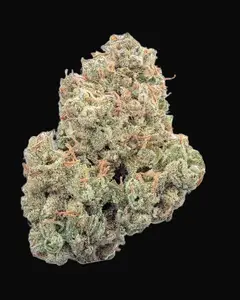 Pineapple Daddy Auto
