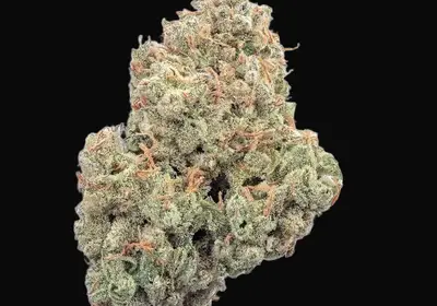 Pineapple Daddy Auto