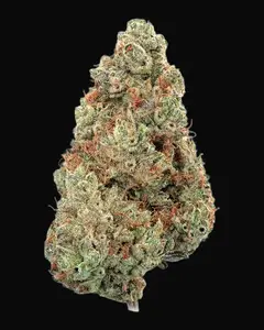 Pineapple Diesel Auto